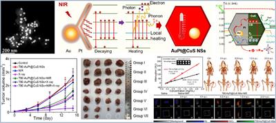 Vacancy defect-promoted nanomaterials for efficient phototherapy and phototherapy-based multimodal Synergistic Therapy